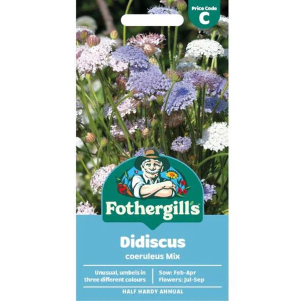 Blåparasoll färgblanding